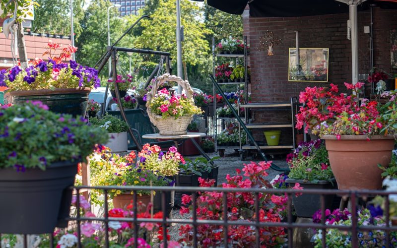 Photo Balcony garden