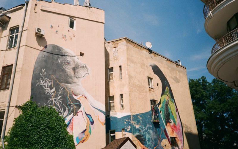 Photo murale and street art